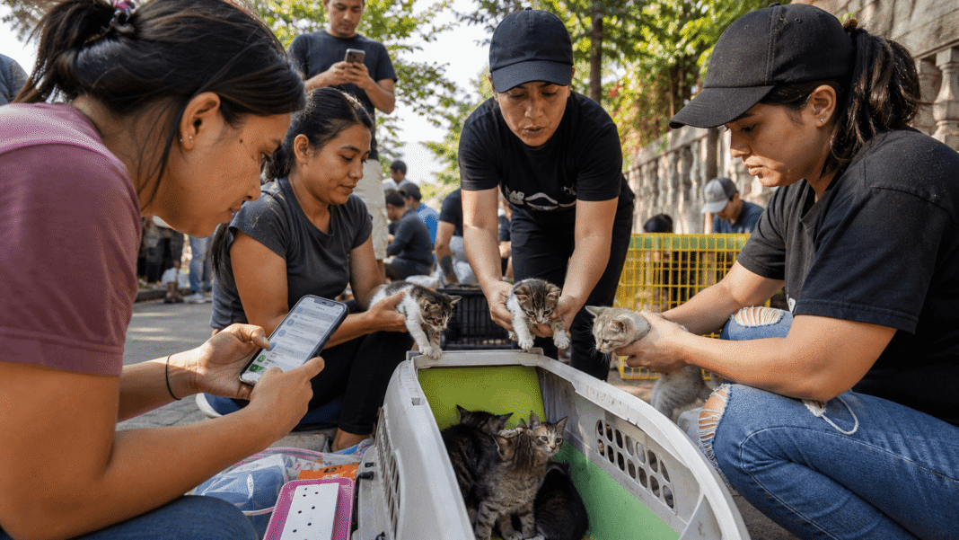 Community Action in La Solana Signals Growing Local Engagement